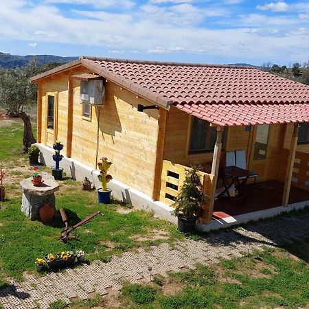 El Refugio De Las Arribes Villarino de los Aires Ngoại thất bức ảnh
