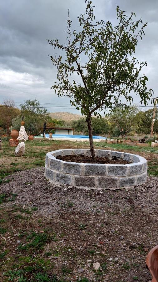 El Refugio De Las Arribes Villarino de los Aires Ngoại thất bức ảnh